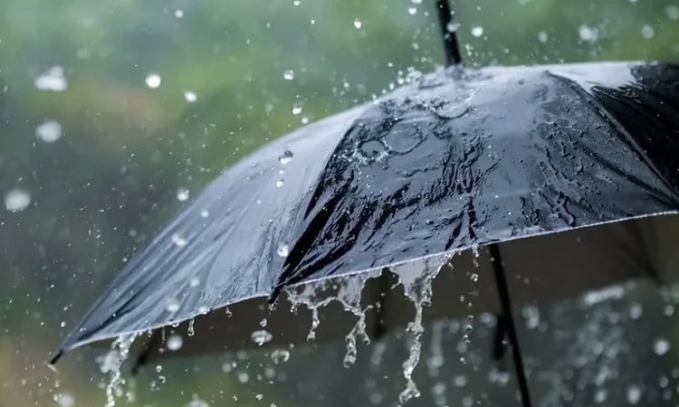 Rain
